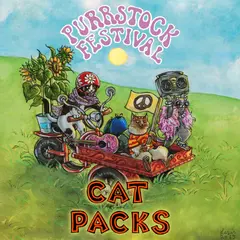 Cat Packs: Purrstock Festival box
