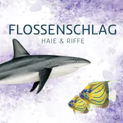 Flossenschlag: Haie & Riffe box